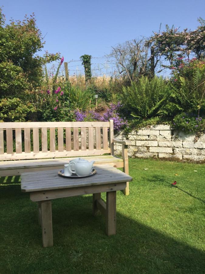 Ramsey House - Luxury Licensed B&B - Parking And Guest Lounge St David's Zewnętrze zdjęcie