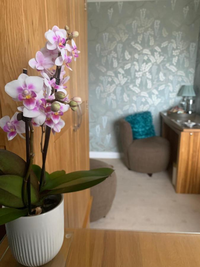 Ramsey House - Luxury Licensed B&B - Parking And Guest Lounge St David's Zewnętrze zdjęcie